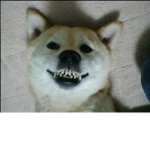 fsdgsdggsdgd