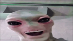 Bibougang