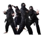 Ninja Bro's