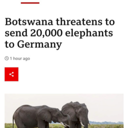 Survive 20,000 Elephants
