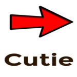 qt!!!!