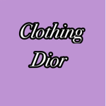 Clothing dior