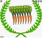 Les carrotes !