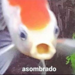 Conejos perdidos