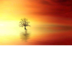 The Dawn of Creation