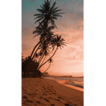 vacations!