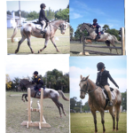 Chase Equestrian