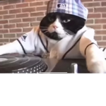 DJ Gaming Cats