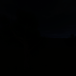 Forgotten Forest icon