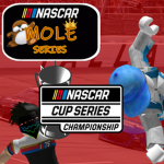 MOLE RACING SERIES (HELP AND SUPPORT