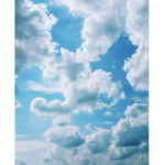 구름TV파란 팬그룹