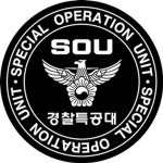대한민국 경찰청 경찰 특공대