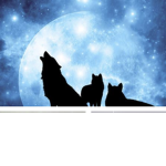 •~LittleWolfCub Squad~•