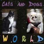 Cats and Dogs world