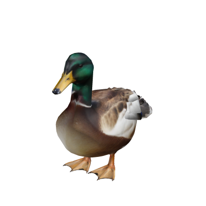 Cute Duck Suit