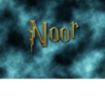 Noor’s store