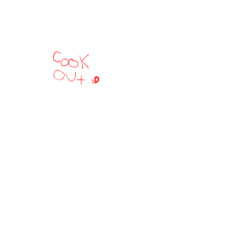Cook out