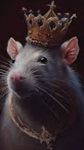Rat alliance group