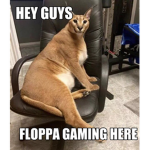 Floppa Gaming