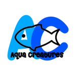 Aqua Creatures!