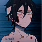 _XD