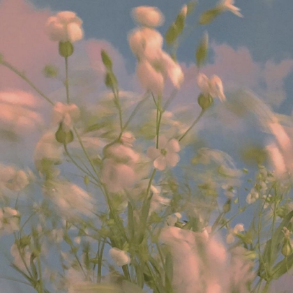 painted white flowers aesthetic 🕊 Roblox decal