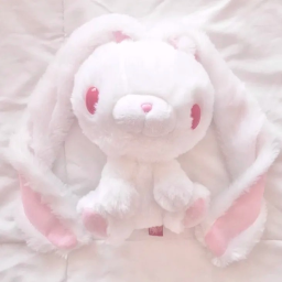 汎用うさぎ 🤍