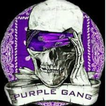 Hansei army
