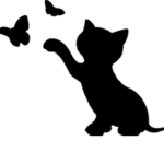kitten pawz