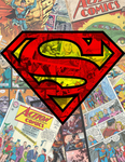 {The Super-Family}