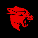 #THE TIGERS