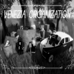 Venezia Organization