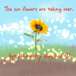 The Sunflowers Are Taking Over.