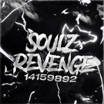 Soulz revenge