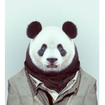 Panda`s Clothing
