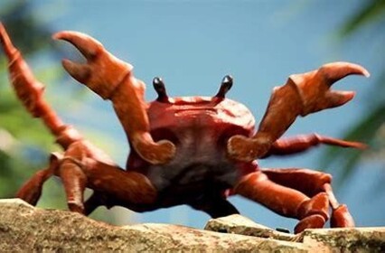 Crab Rave Base