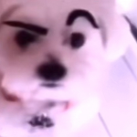 #[KOS]