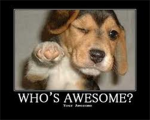 Are you Awesome???