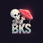 BKS Store Group Thumbnail