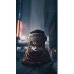 The Lovely Cat
