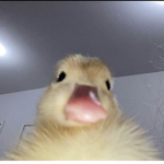 Naww:D