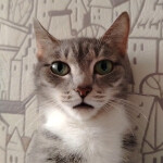  РАМБАРДЖИНИ OBBY