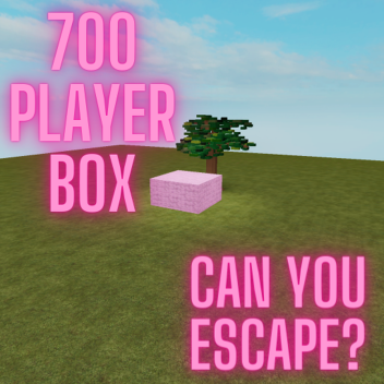700 Player Box