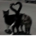جمانه جيش>