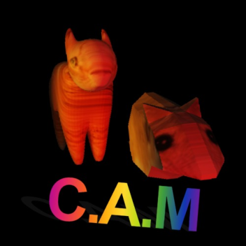 A Game of Cat and Mouse