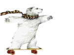 pola bear