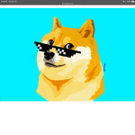 The fine doge group