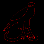 Hawk & Snake Studio