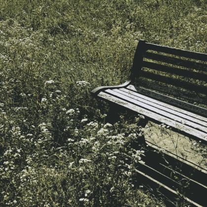 bench cottagecore sage aesthetic green cute Roblox decal