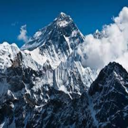 flamingo meme bacon climbs mount everest